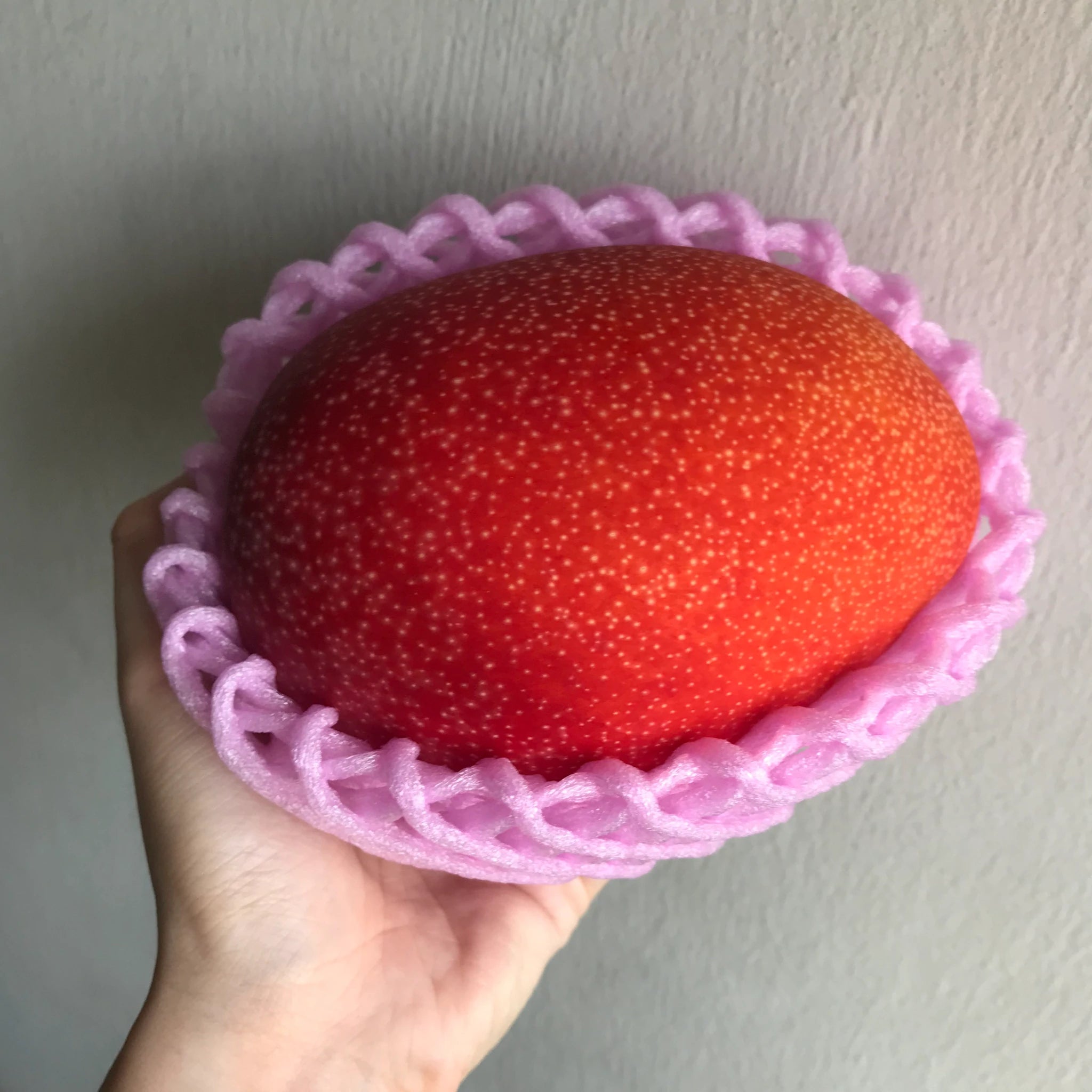 Mango Fruit Plant