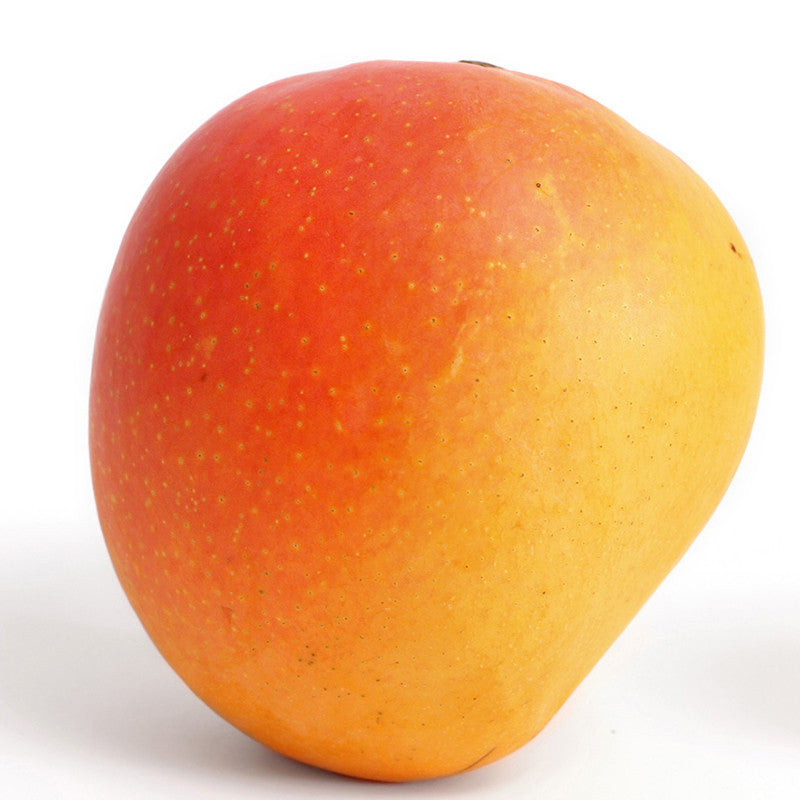 Mango Suvarnarekha(Grafted) - Fruit Plants & Tree - Premium Fruit Plants & Tree from Plantparadise - Just $400.0! Shop now at Plantparadise