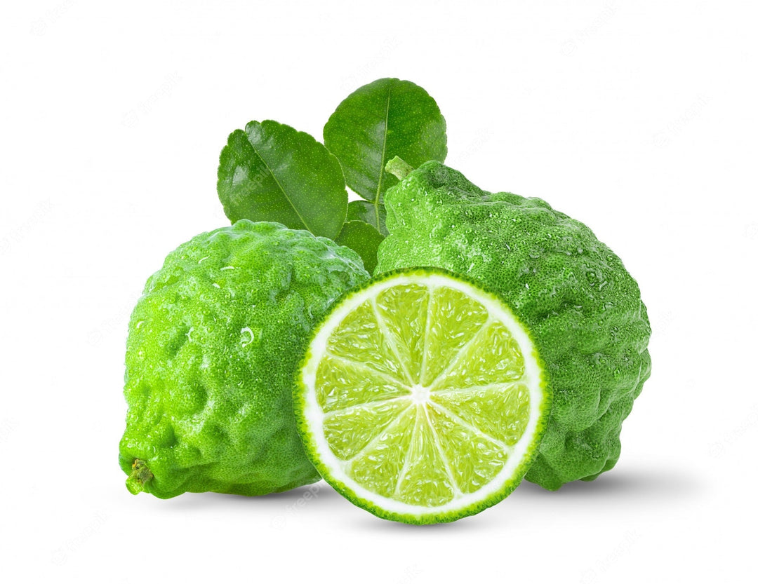 Kafir Lemon Plant - Premium Fruit Plants from Plantparadise - Just $789! Shop now at Plantparadise